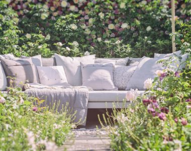 What is the best way to create your dream garden?