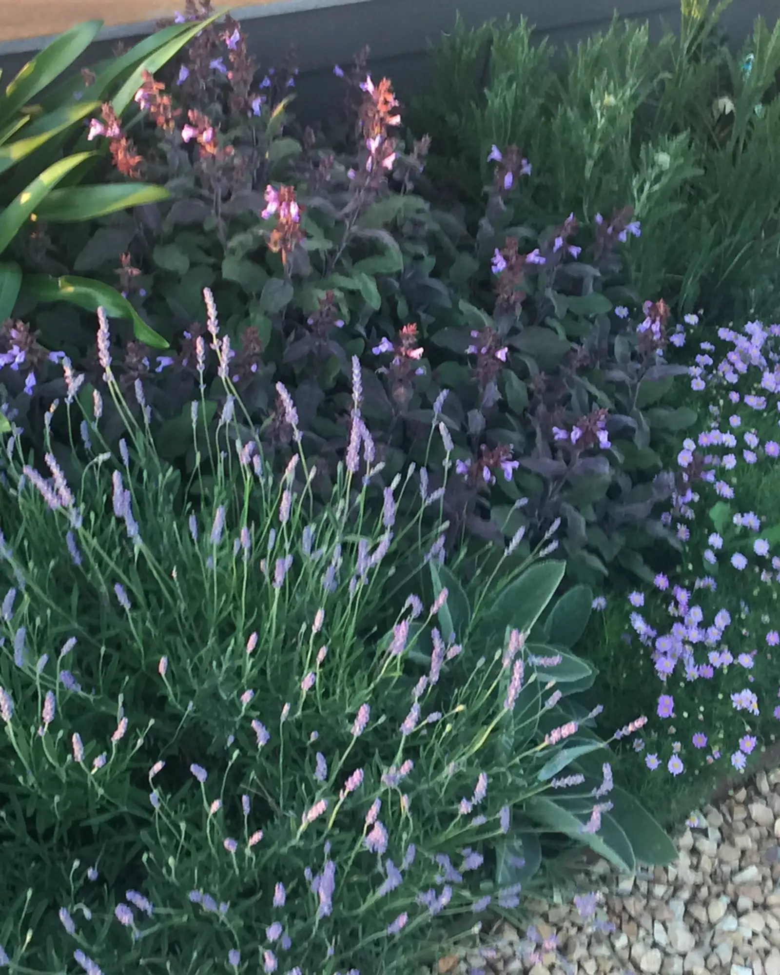 Romany Lambert - Heritage & Period 01