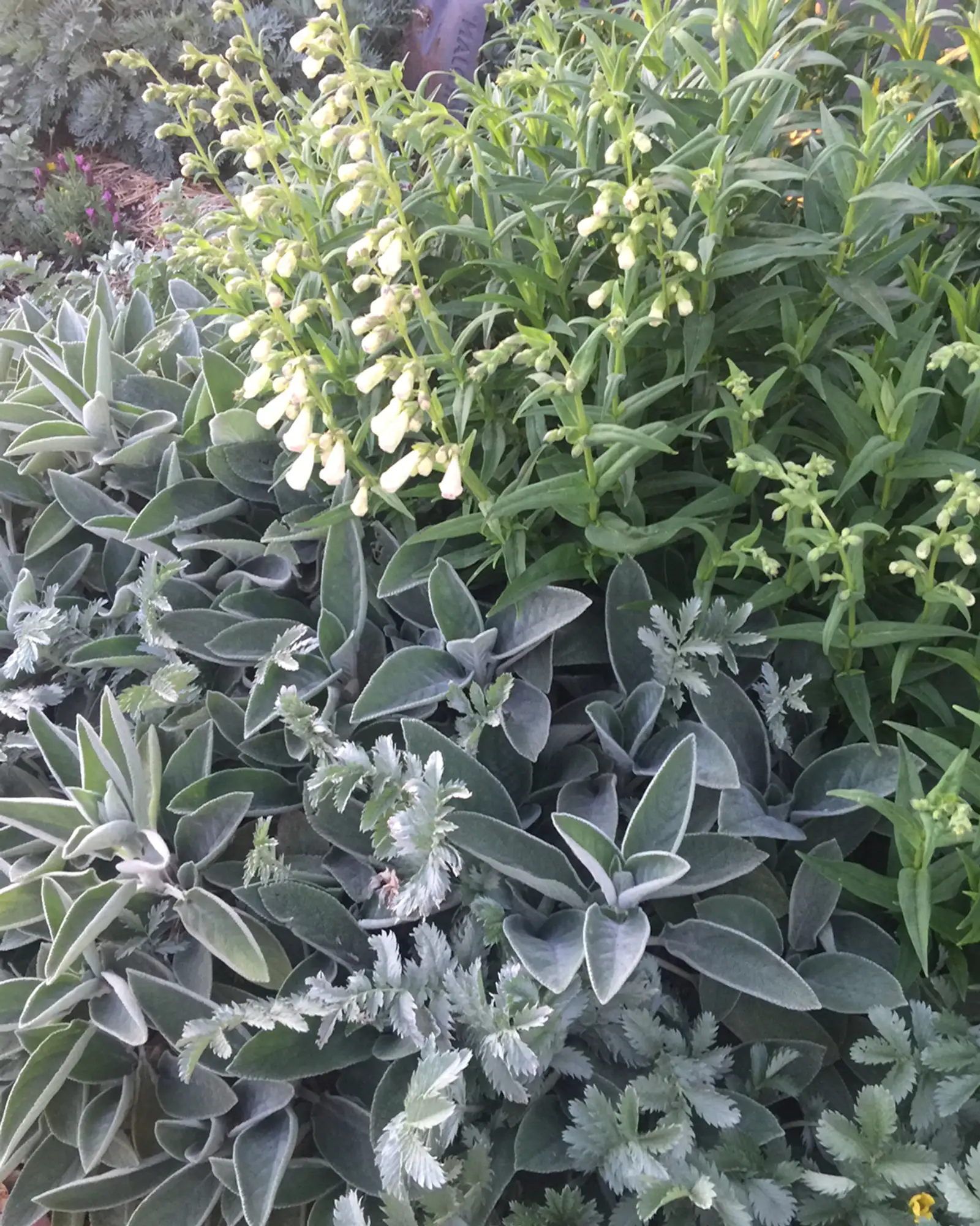 Romany Lambert - Inspired & Theme 01