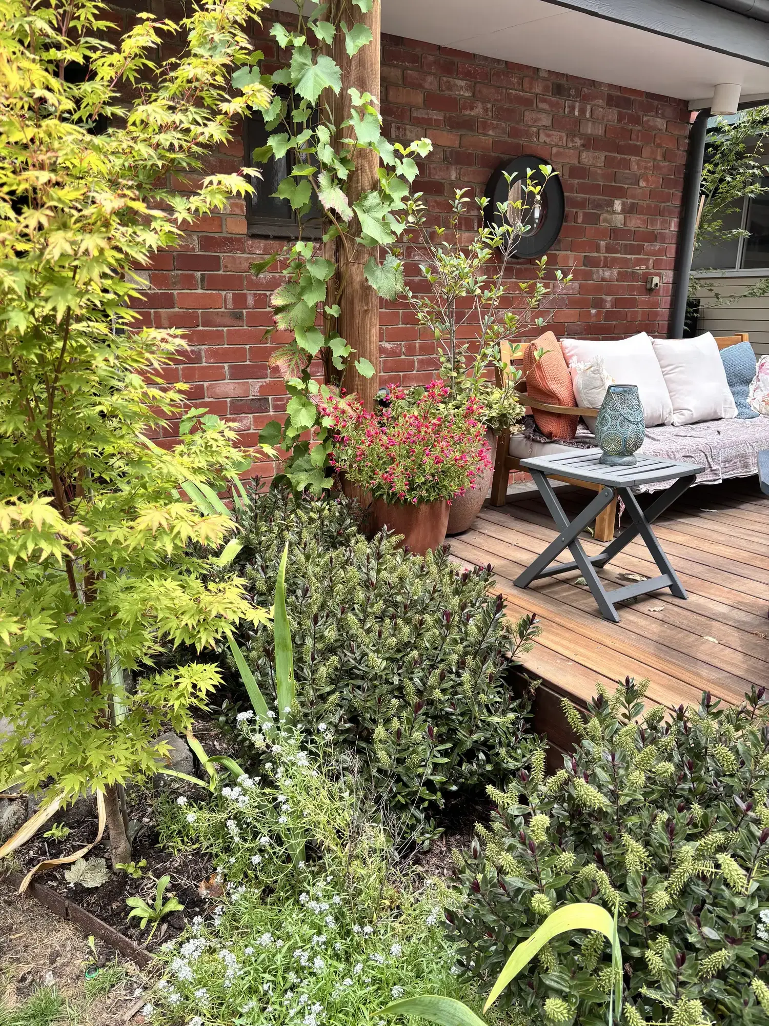 Romany Lambert Ballarat - City Garden - After 01