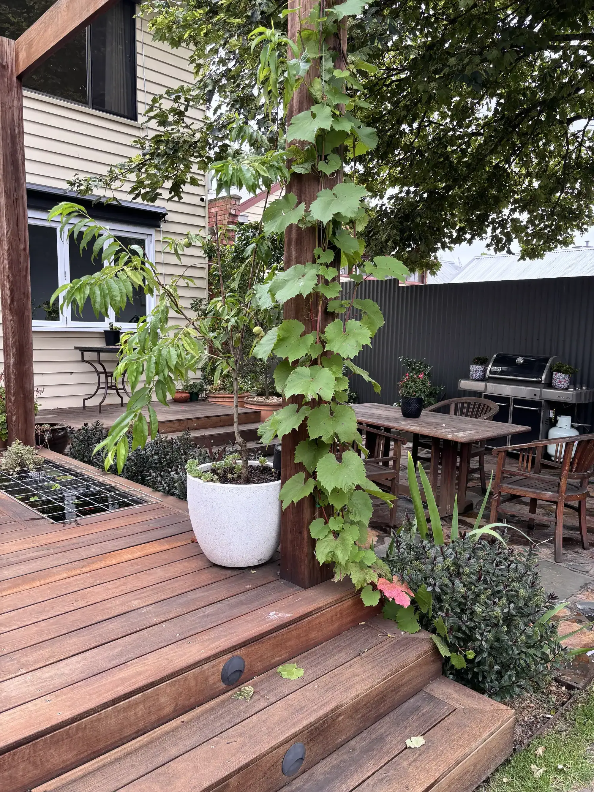 Romany Lambert Ballarat - City Garden - After 02