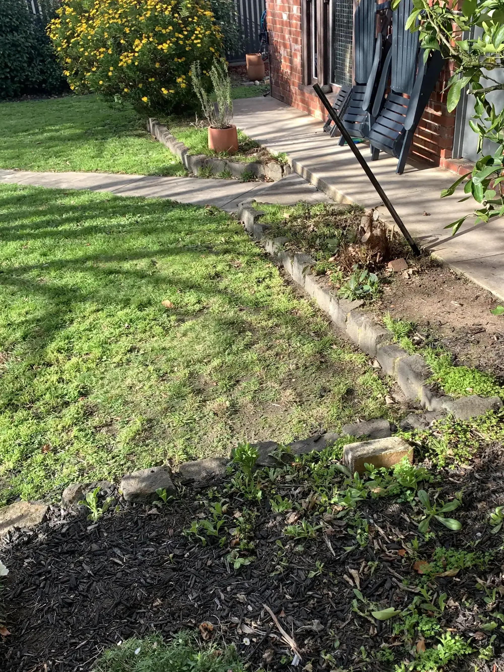 Romany Lambert Ballarat - City Garden - Before 02