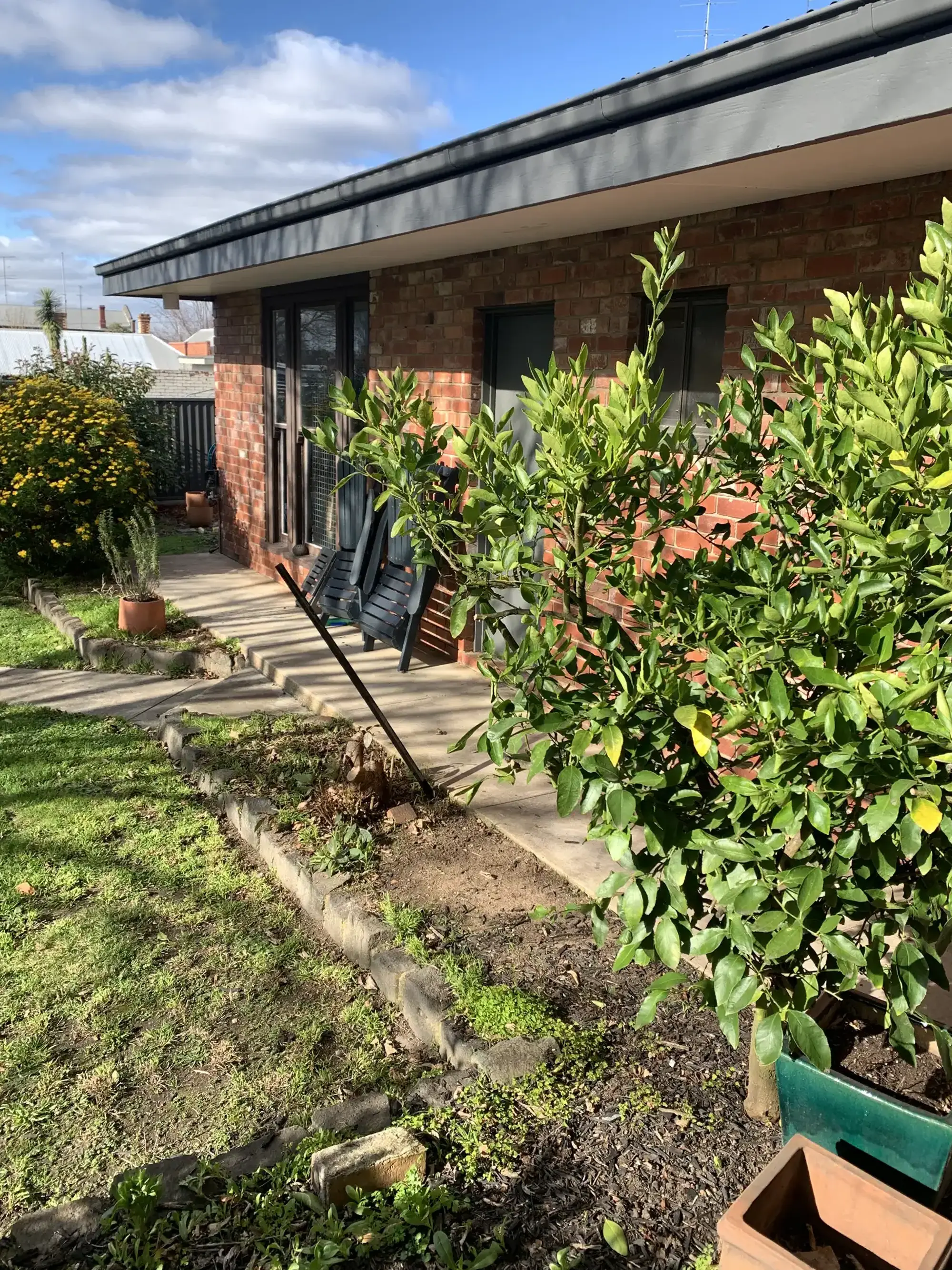 Romany Lambert Ballarat - City Garden - Before 03