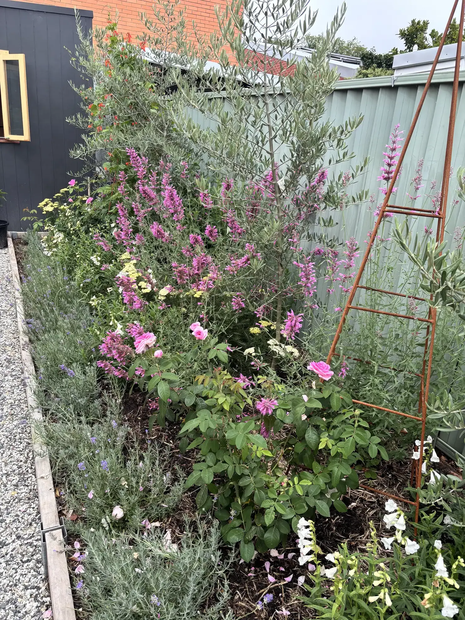 Romany Lambert Ballarat - Garden - After 01