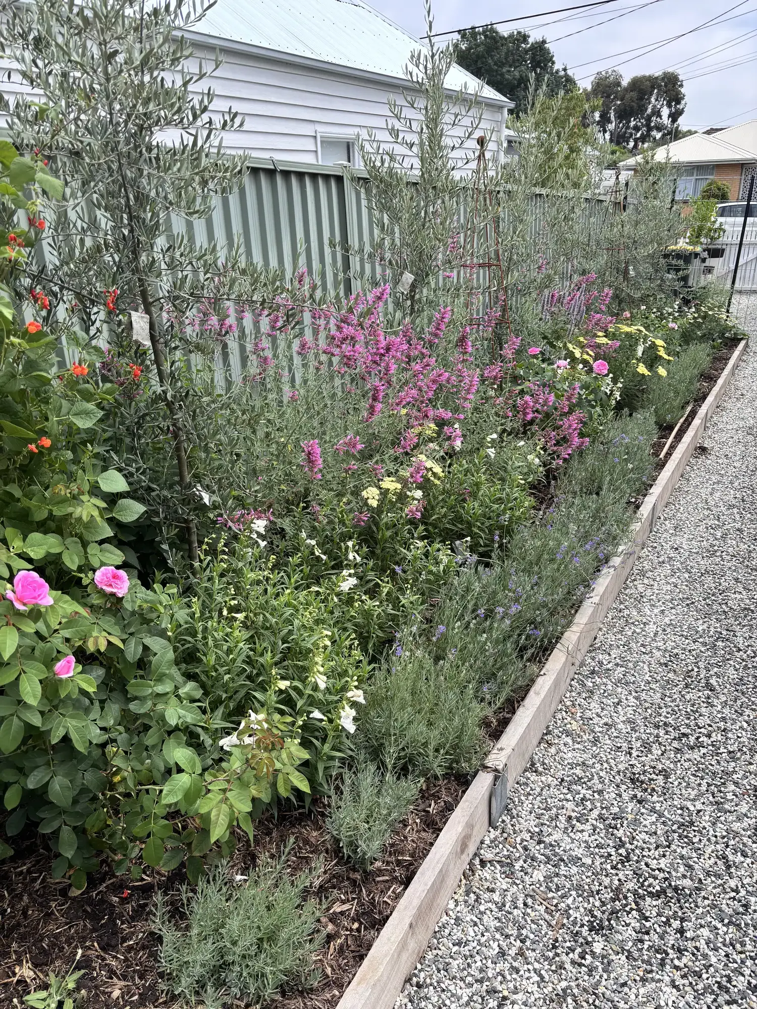 Romany Lambert Ballarat - Garden - After 03