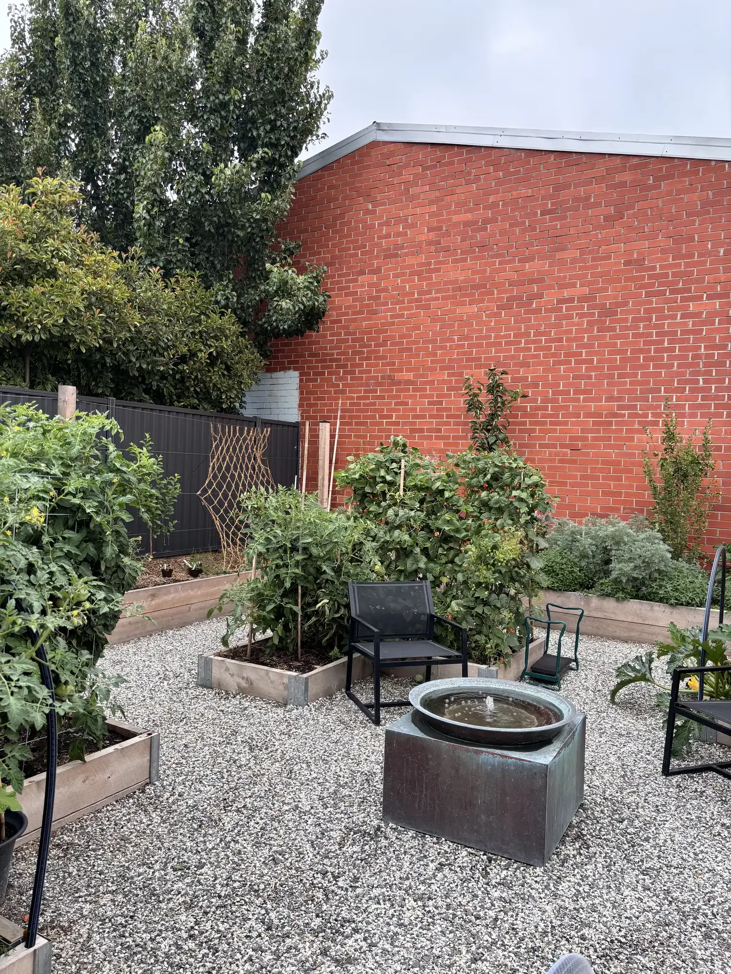 Romany Lambert Ballarat - Garden - After 04