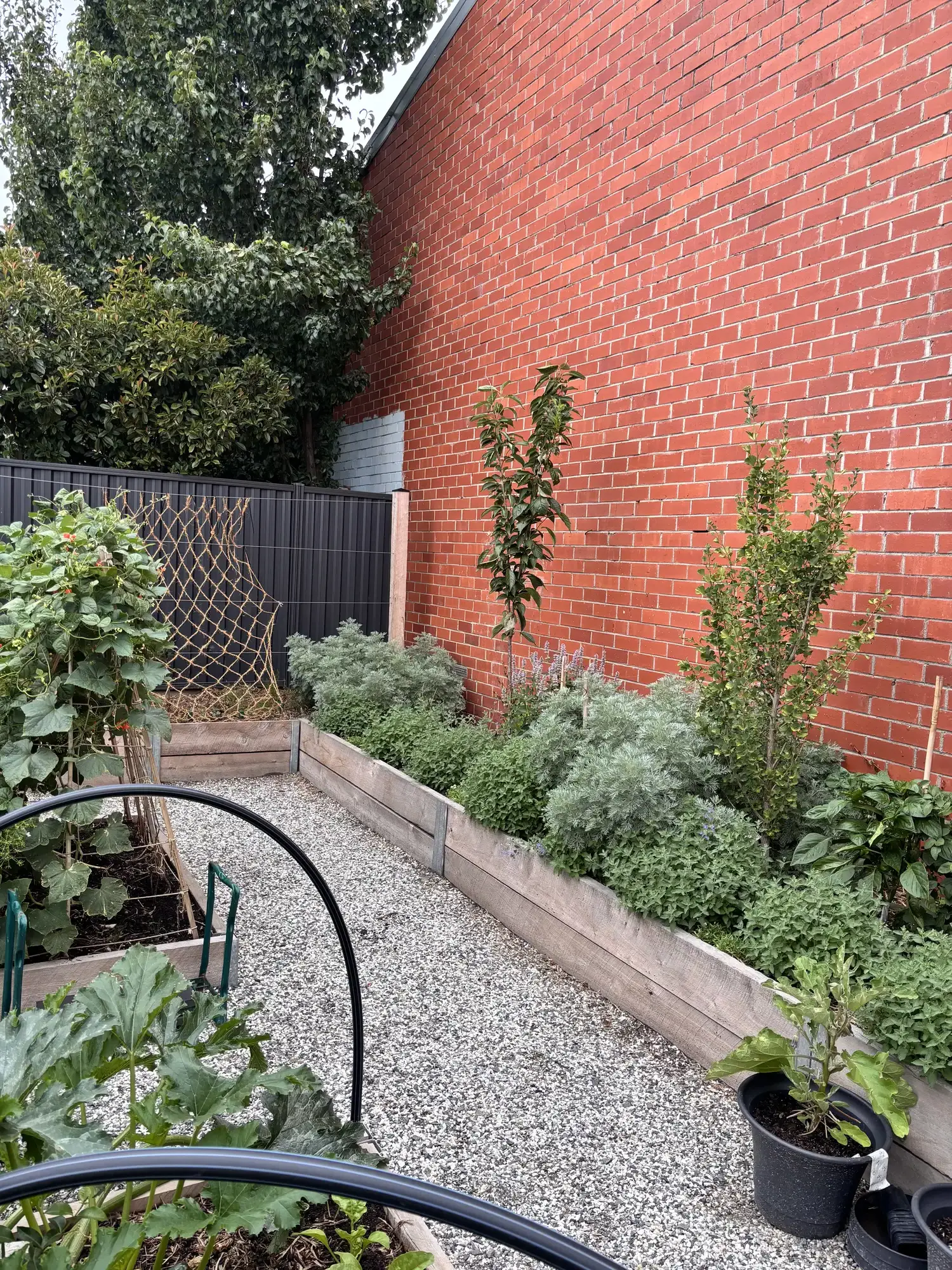 Romany Lambert Ballarat - Garden - After 07