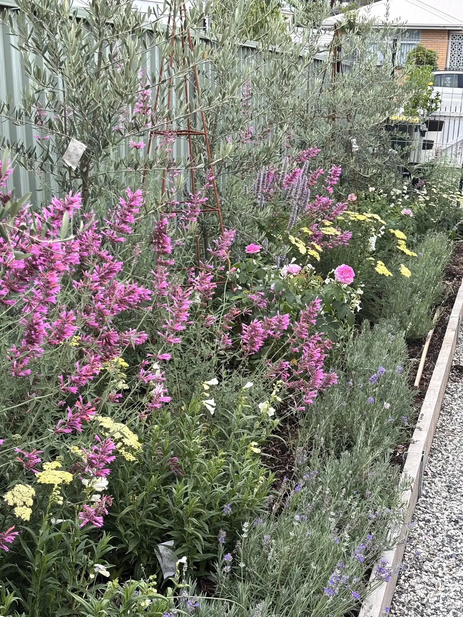 Romany Lambert Ballarat - Garden - After 08