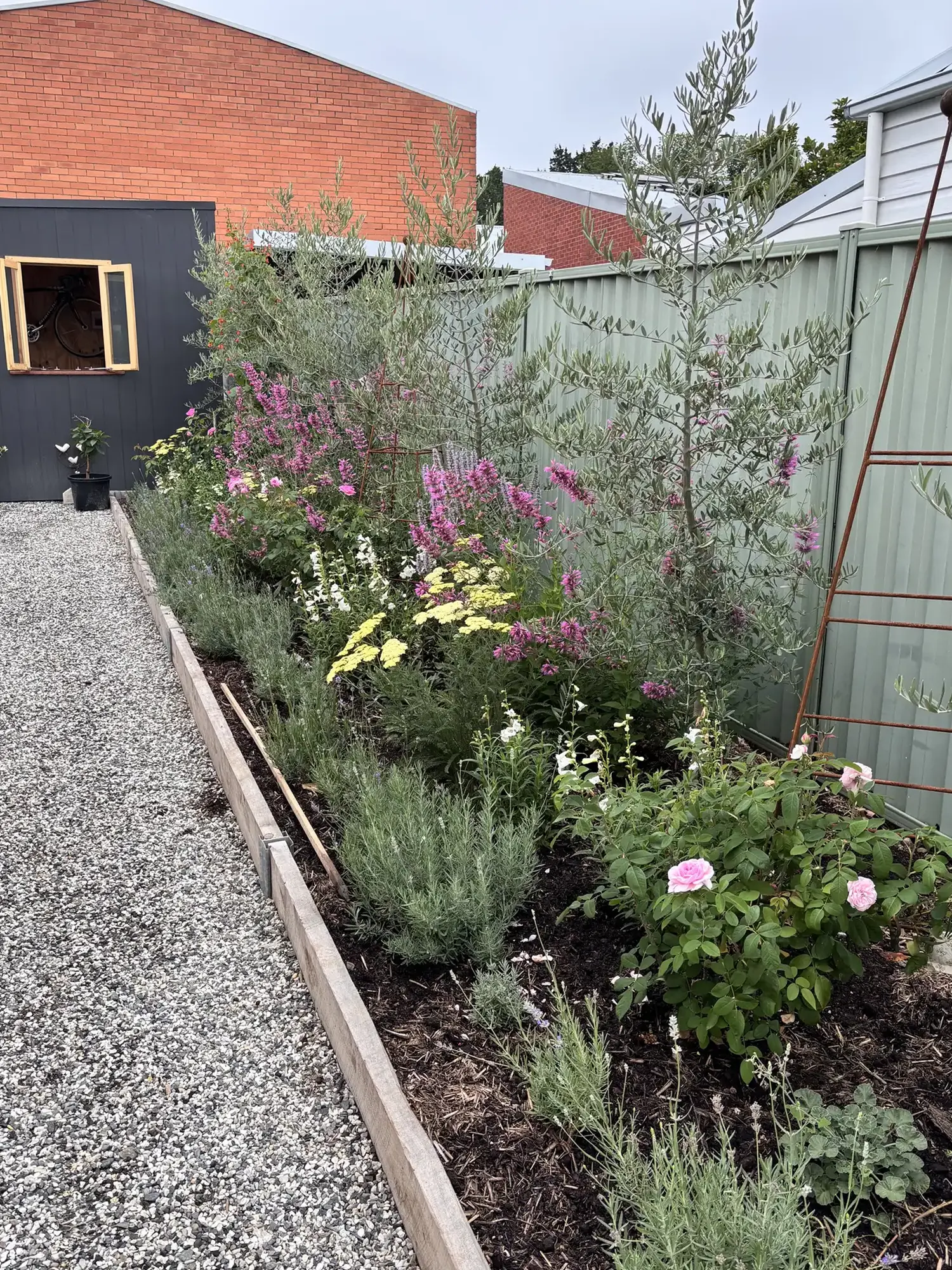 Romany Lambert Ballarat - Garden - After 09