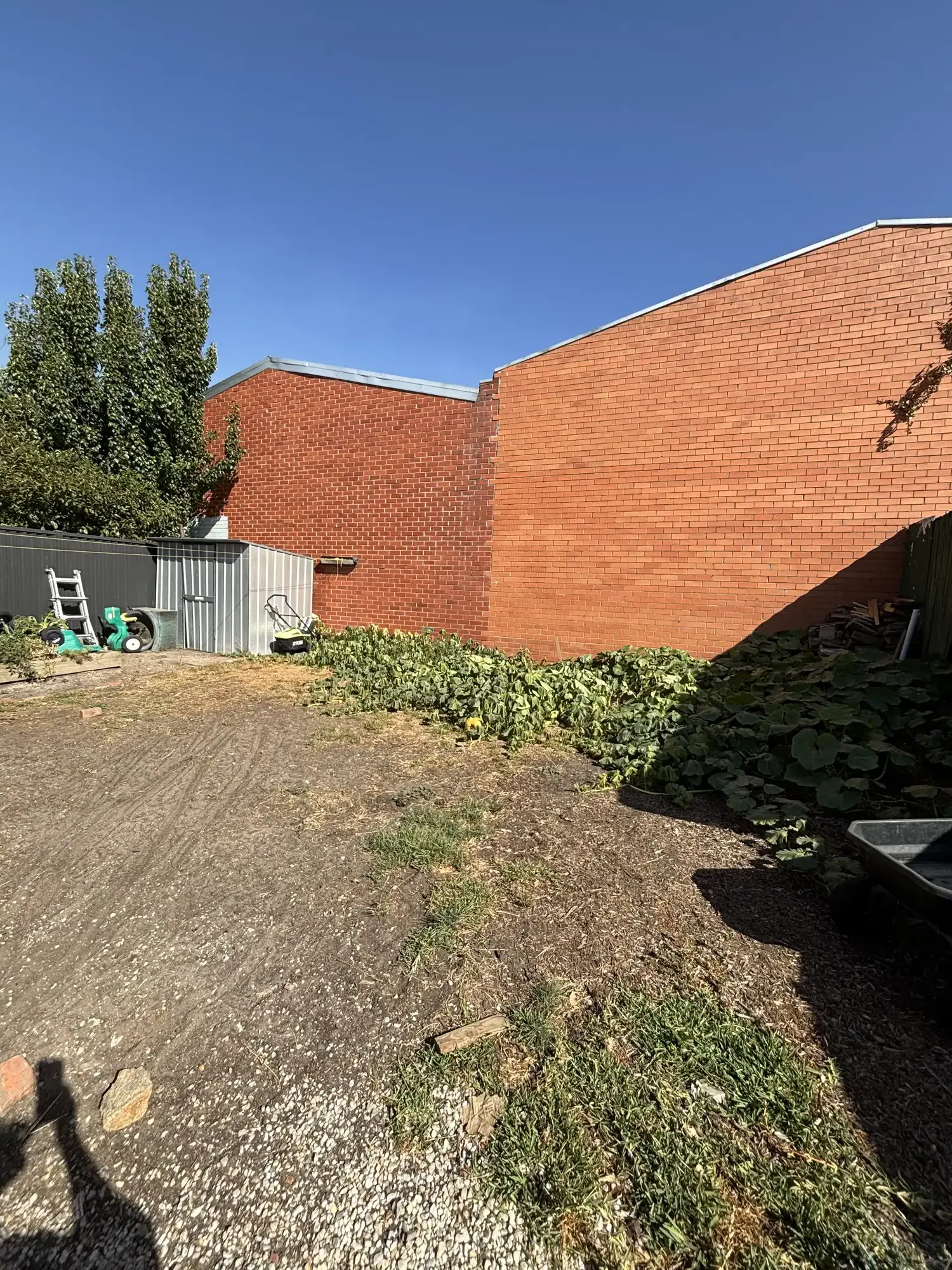 Romany Lambert Ballarat - Garden - Before 02