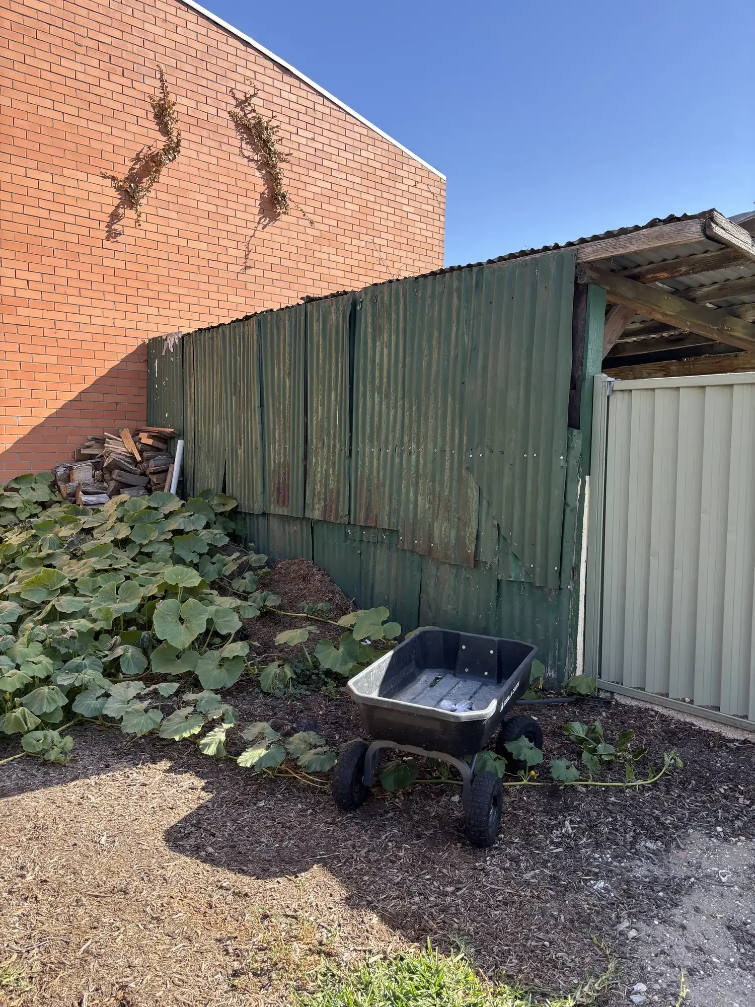 Romany Lambert Ballarat - Garden - Before 04