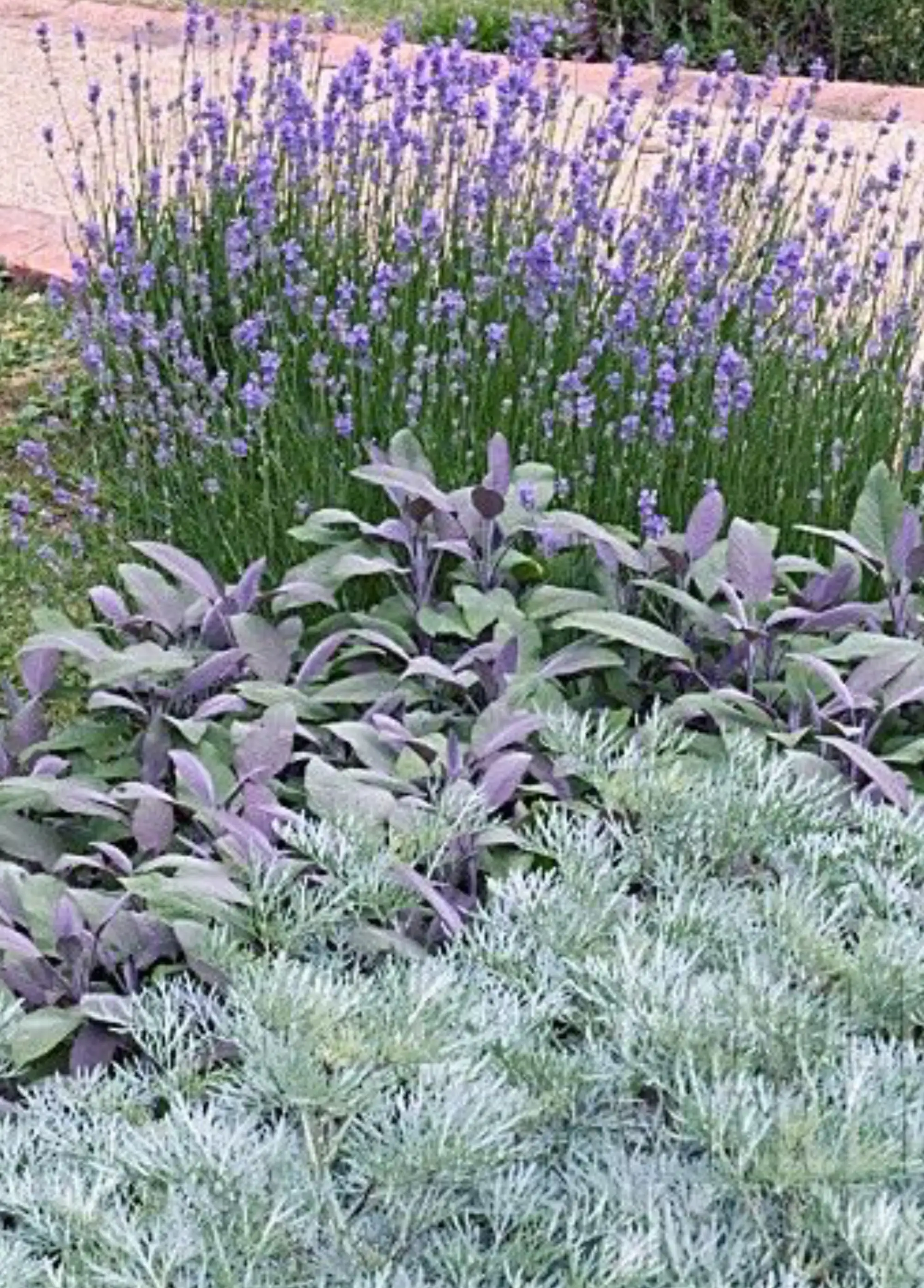 Romany Lambert Smeaton - Homestead - After 01