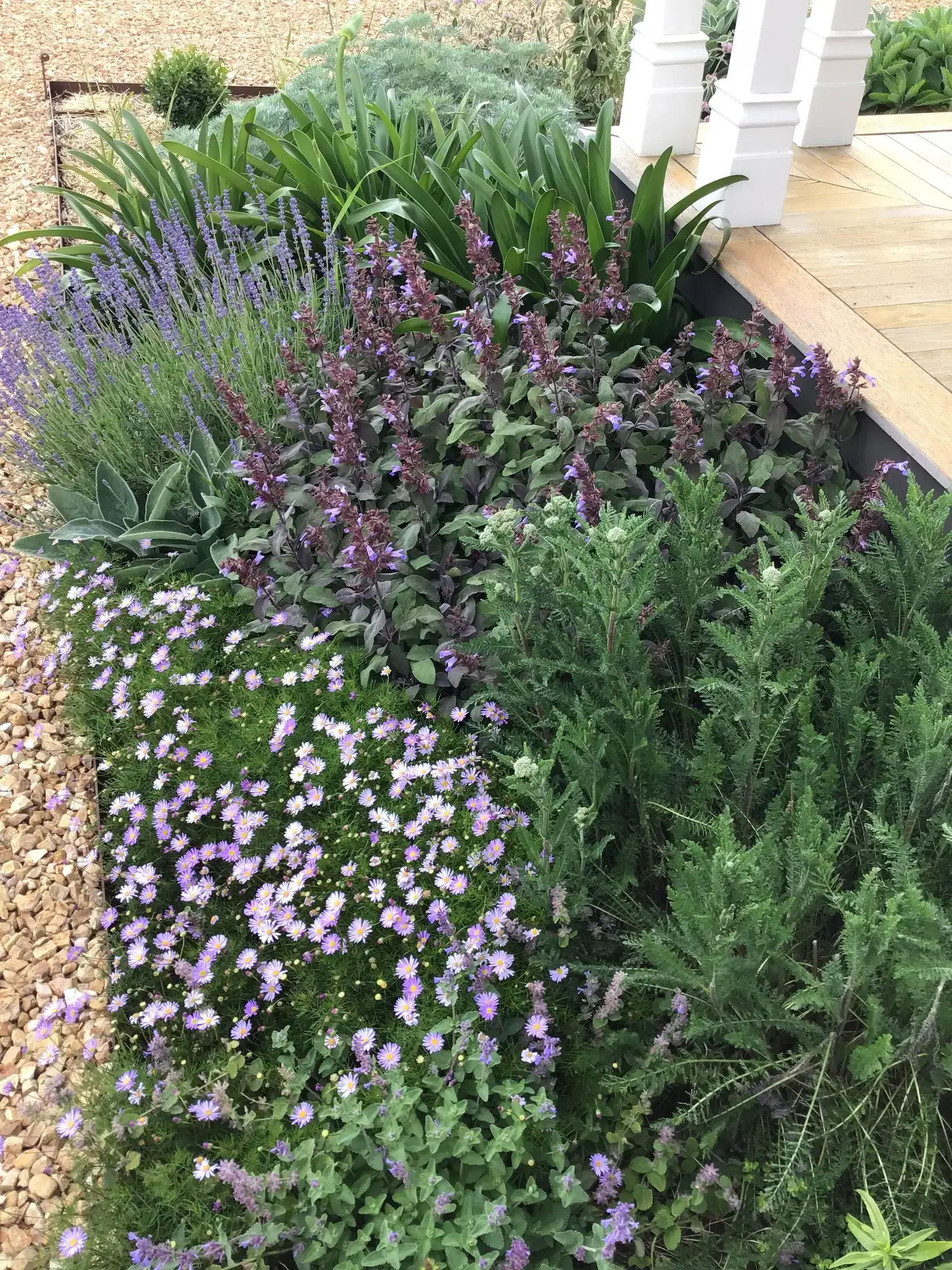 Romany Lambert Smeaton - Homestead - After 02