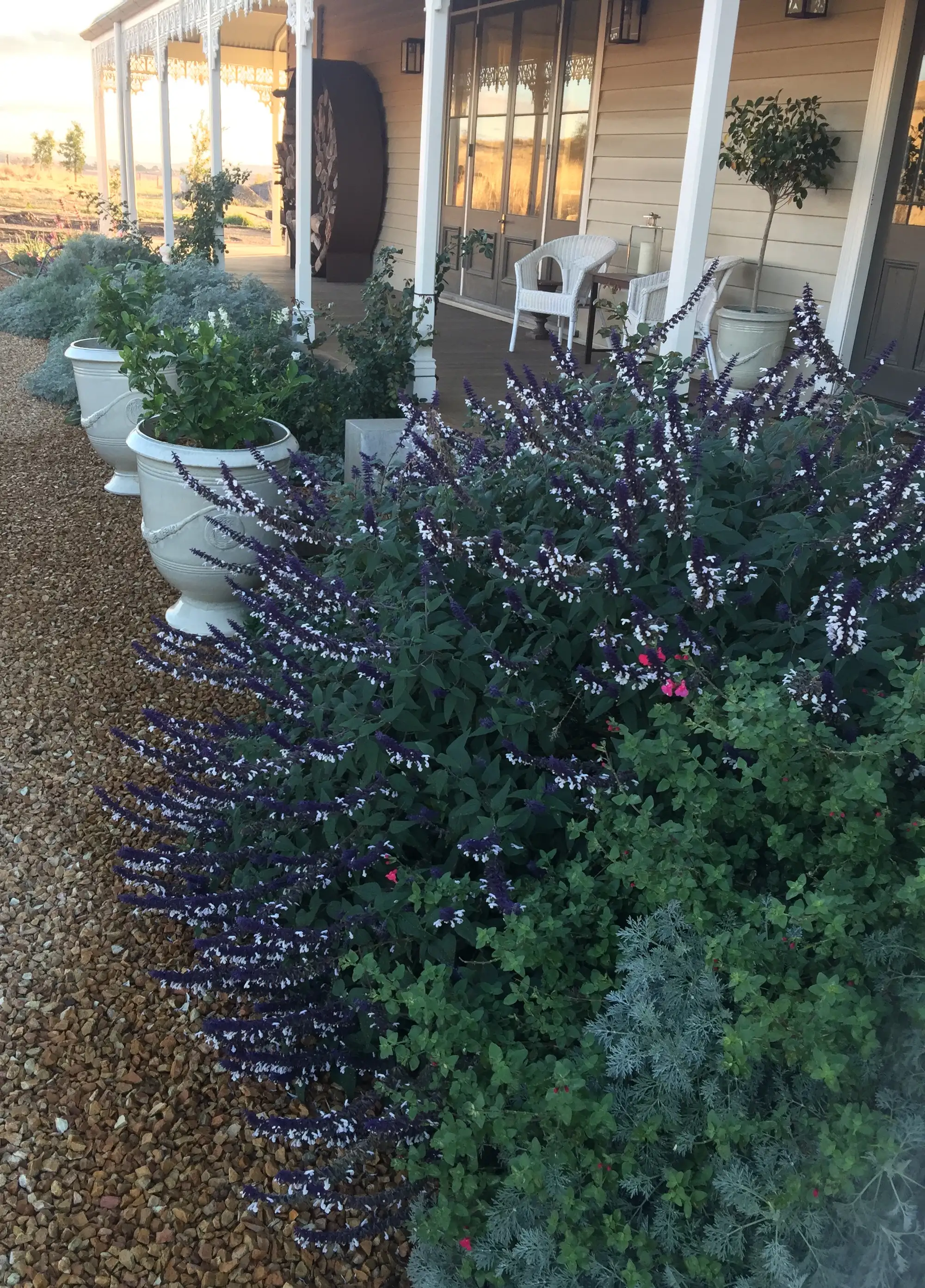 Romany Lambert Smeaton - Homestead - After 03