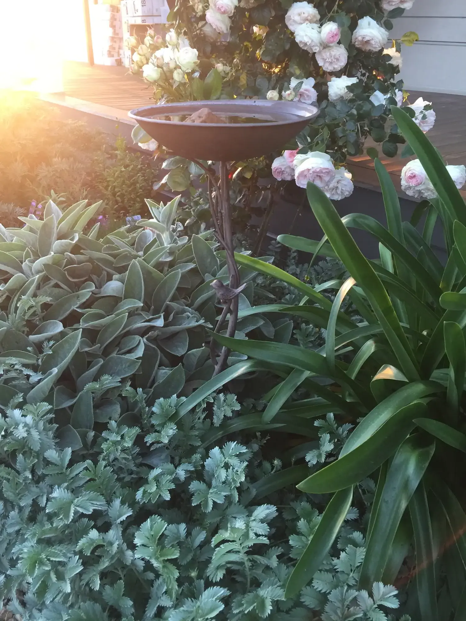 Romany Lambert Smeaton - Homestead - After 06