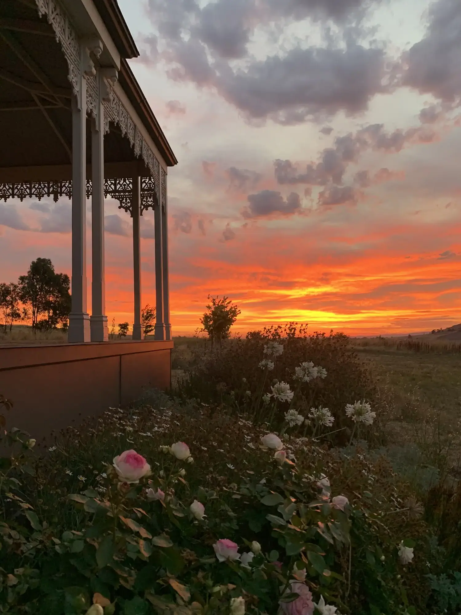 Romany Lambert Smeaton - Homestead - After 09