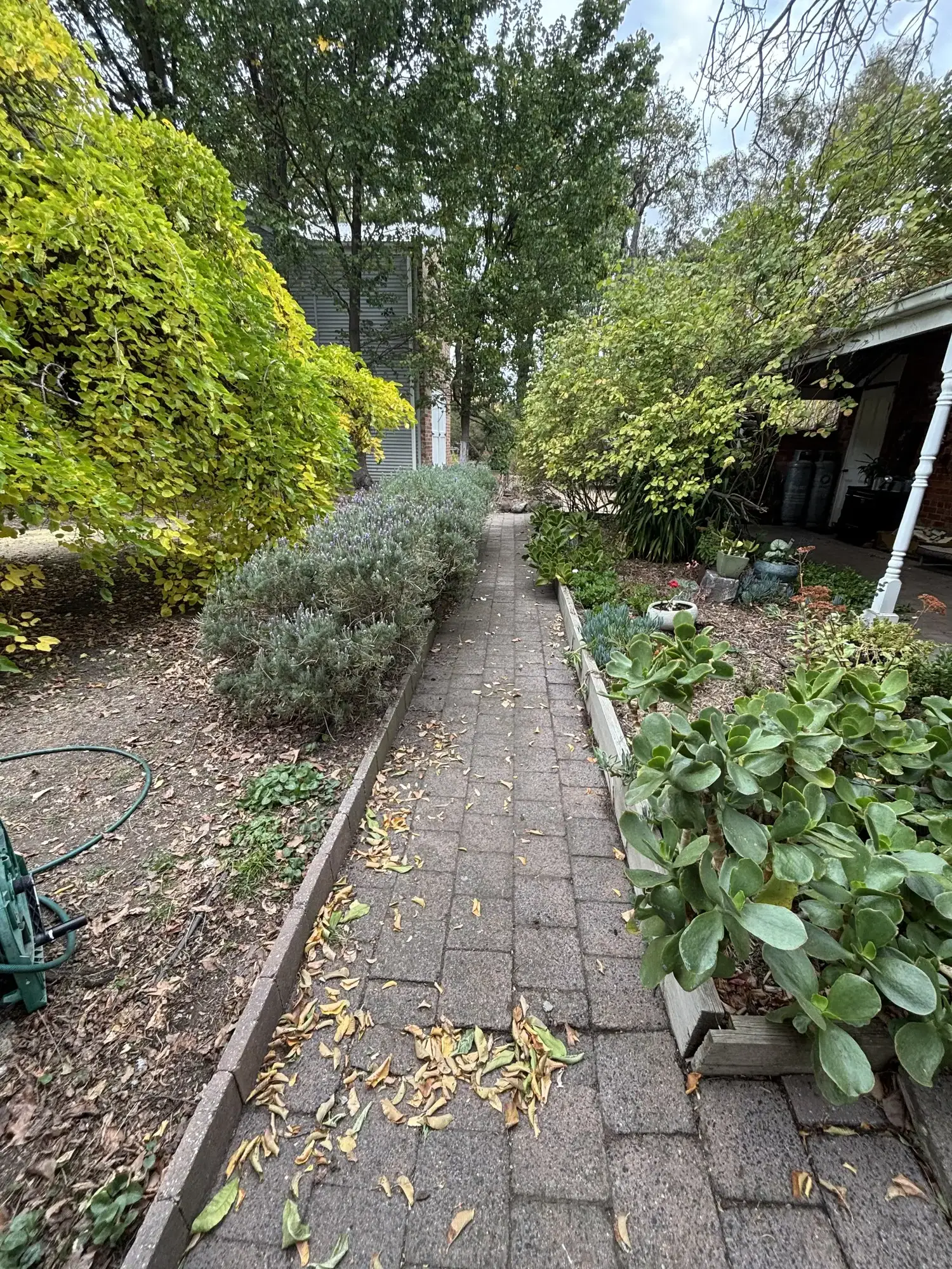 Romany Lambert Talbot - Country House - Before 02